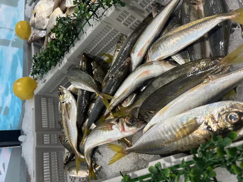 Yellow Tail Scad