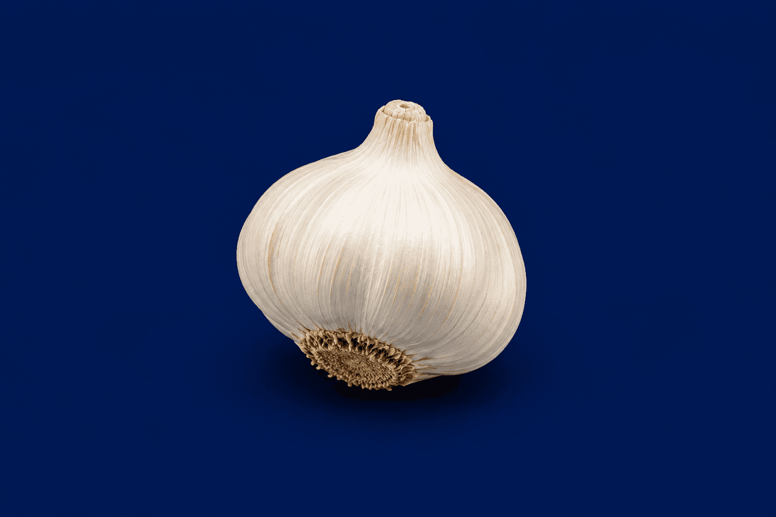 Fresh Local Garlic