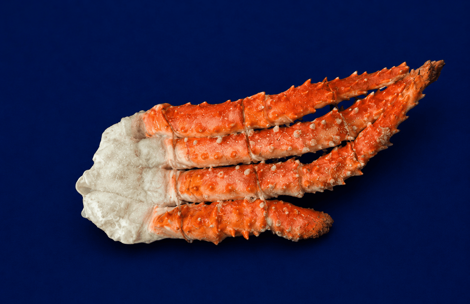King Crab Clusters 500g-600g, fresh Crabs from Tasman Star Seafood, Gold Coast
