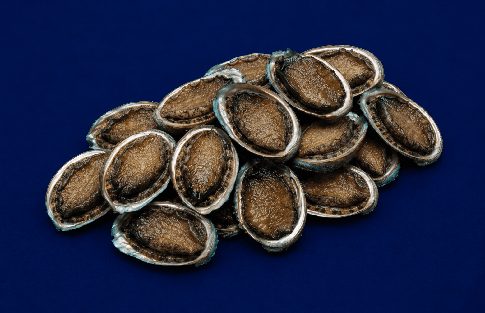Live Abalone Small 30g-80g