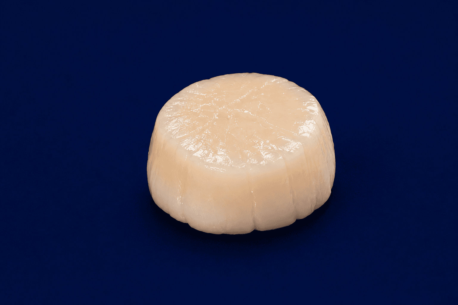 Roe Off Scallop, fresh Shellfish & Molluscs from Tasman Star Seafood, Gold Coast