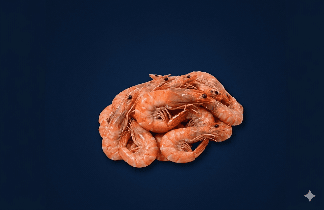 5kg Large Cooked King Prawn Box, fresh Frozen Traded from Tasman Star Seafood, Gold Coast