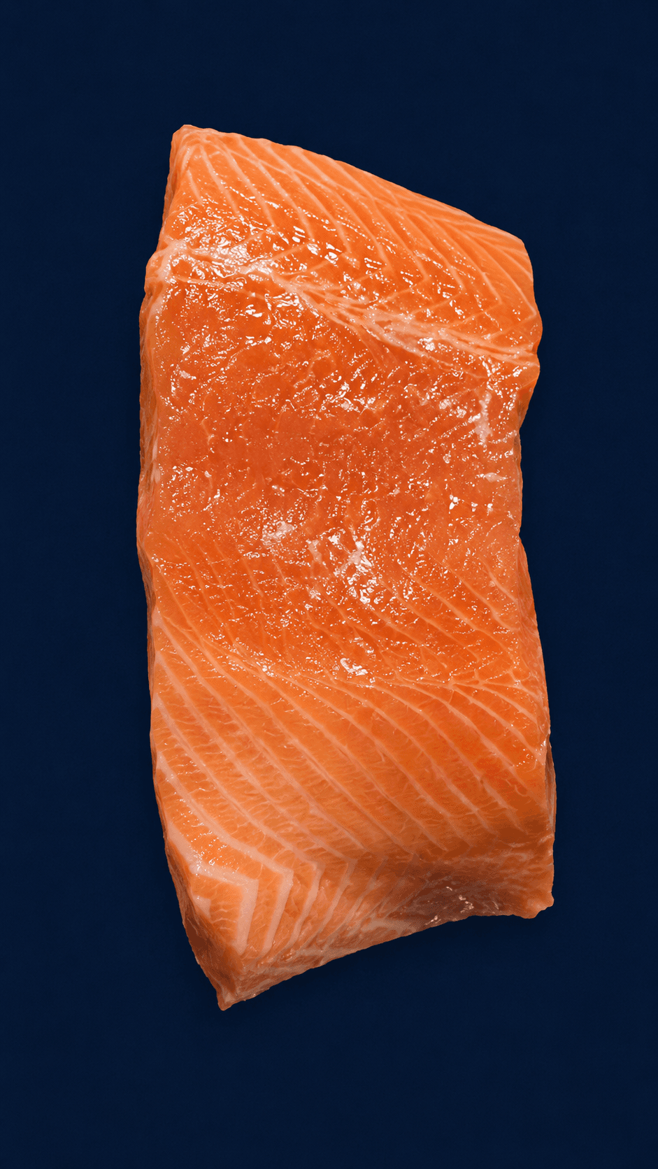Akaroa King Salmon Portions 300G