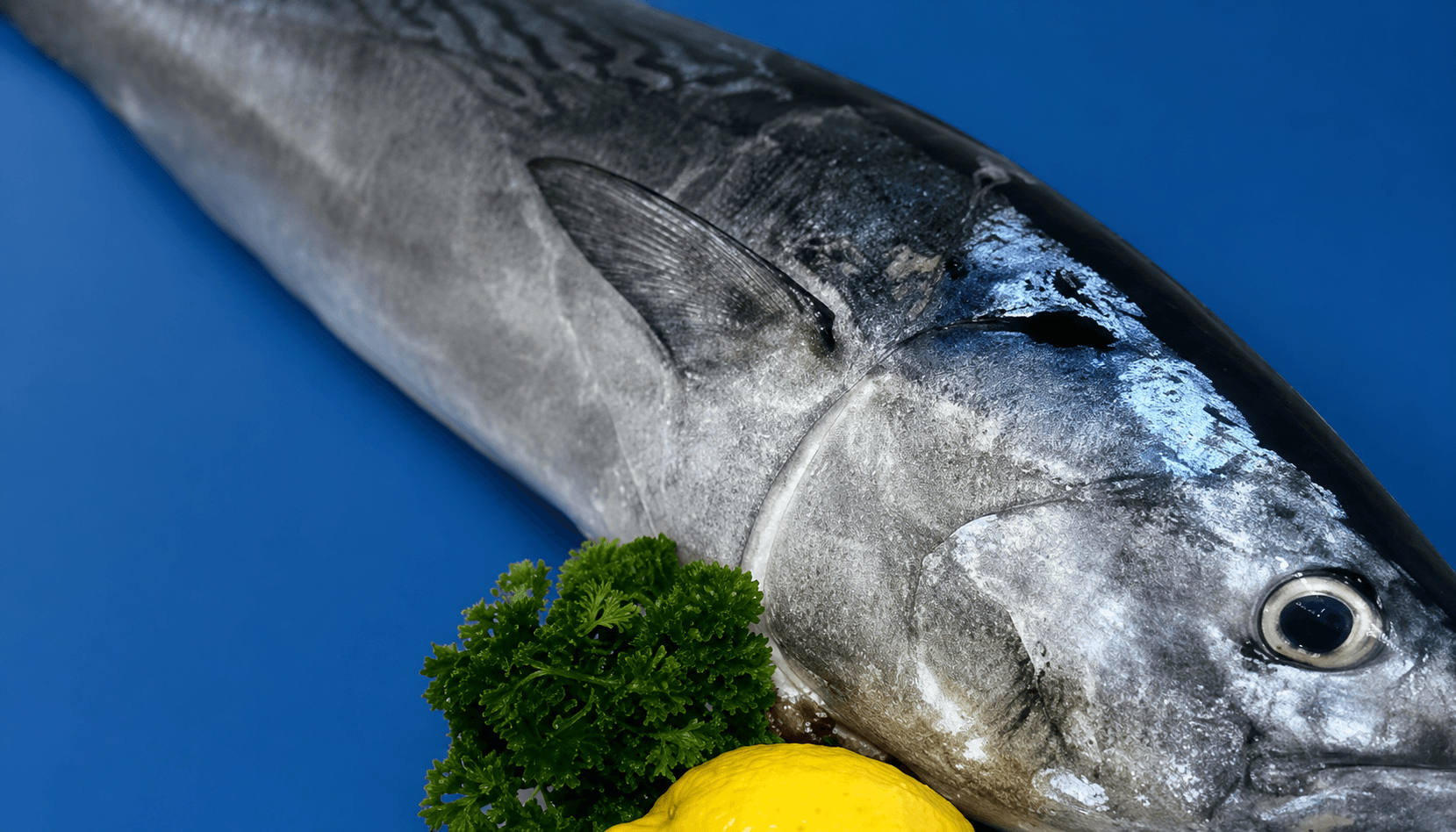 Mac Tuna Whole