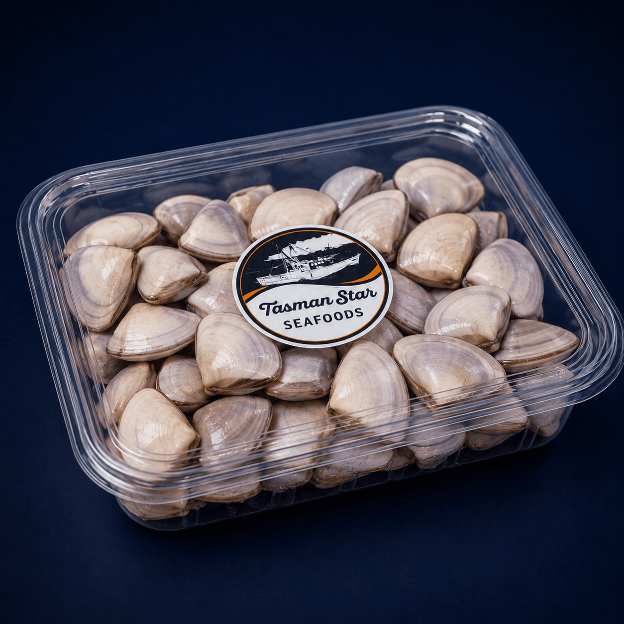 Live Pipis 500G, fresh Shellfish & Molluscs from Tasman Star Seafood, Gold Coast