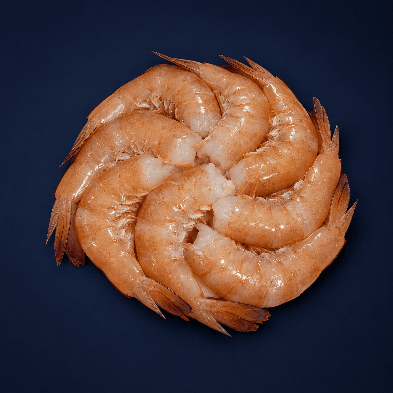 Raw Headless Prawns, fresh Prawns (Raw) from Tasman Star Seafood, Gold Coast