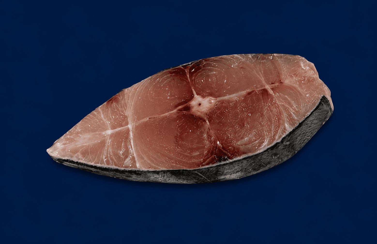Mackerel Cutlets 1KG — fresh Fish (Fillets & Steaks) from Tasman Star Seafood, Gold Coast