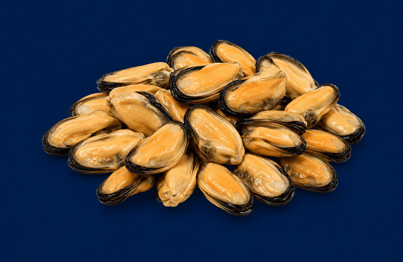 Greenlip Mussel Meat — fresh Shellfish & Molluscs from Tasman Star Seafood, Gold Coast