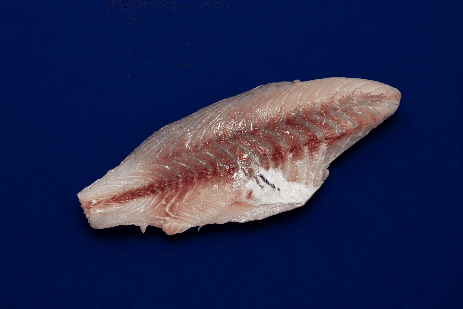 Barramundi Skin Off Fillet Side 1.5KG — fresh Fish (Fillets & Steaks) from Tasman Star Seafood, Gold Coast