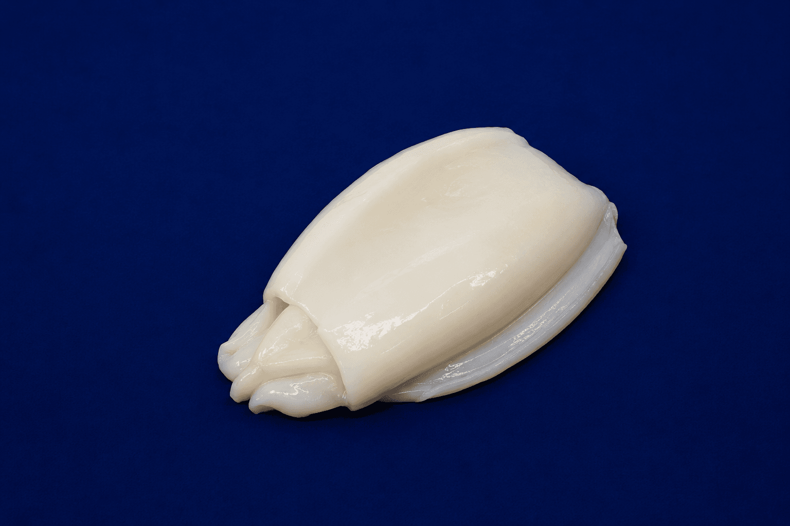 Clean Cuttlefish Meat 1kg, fresh Squid, Octopus & Cuttlefish from Tasman Star Seafood, Gold Coast