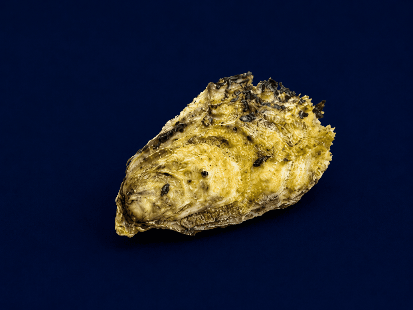 Live Unshucked Oysters — fresh Oysters from Tasman Star Seafood, Gold Coast