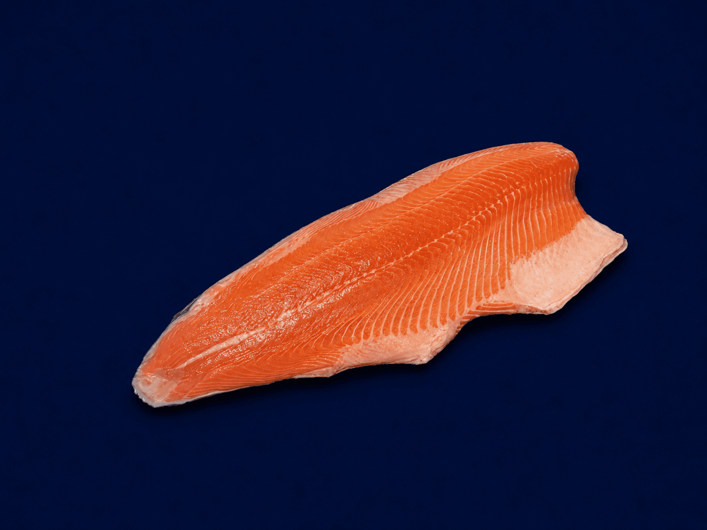 Tassie Salmon side s/on 1.5kg — fresh Fish (Fillets & Steaks) from Tasman Star Seafood, Gold Coast