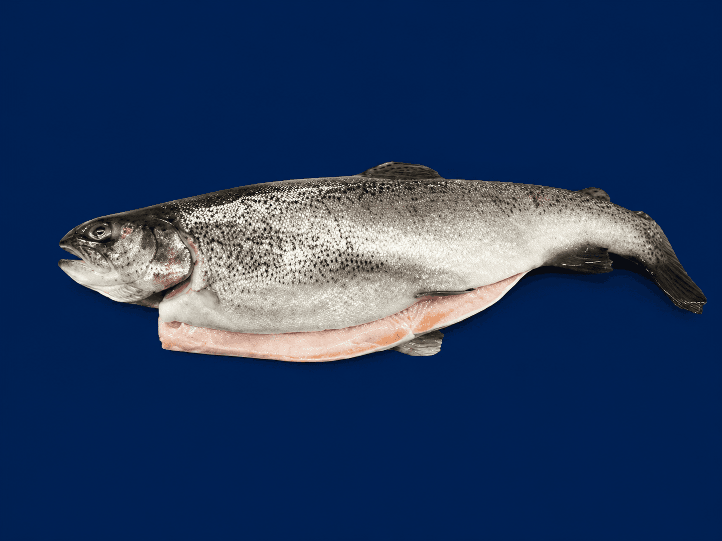 Rainbow Trout Whole — fresh Fish (Whole) from Tasman Star Seafood, Gold Coast