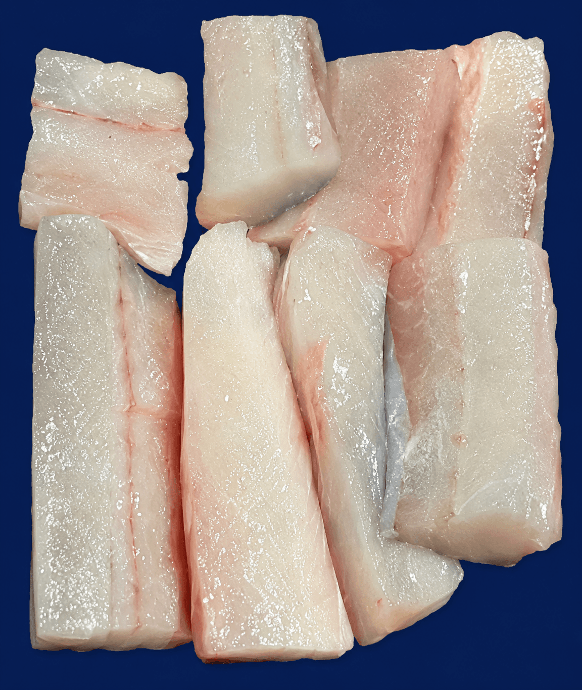 Spanish Mackerel Fillet — fresh Fish (Fillets & Steaks) from Tasman Star Seafood, Gold Coast