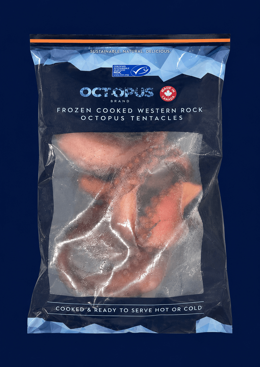 Frozen Cooked Octopus, fresh Frozen Traded from Tasman Star Seafood, Gold Coast