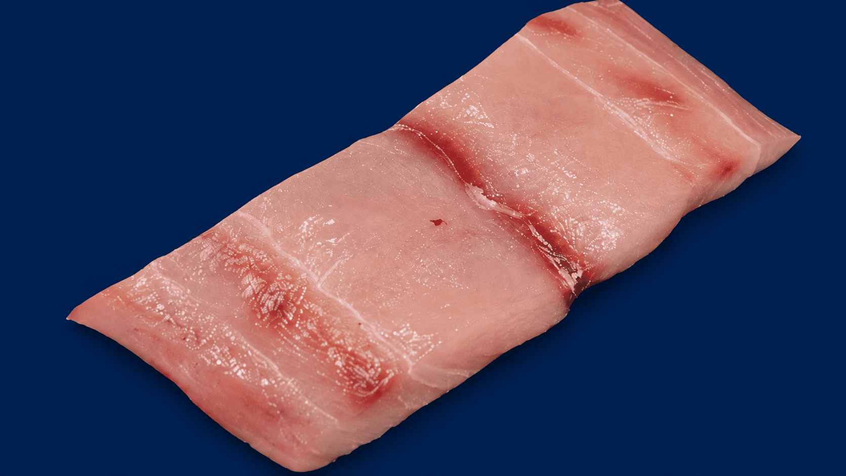 Mahi Mahi Fillet 300G — fresh Fish (Fillets & Steaks) from Tasman Star Seafood, Gold Coast