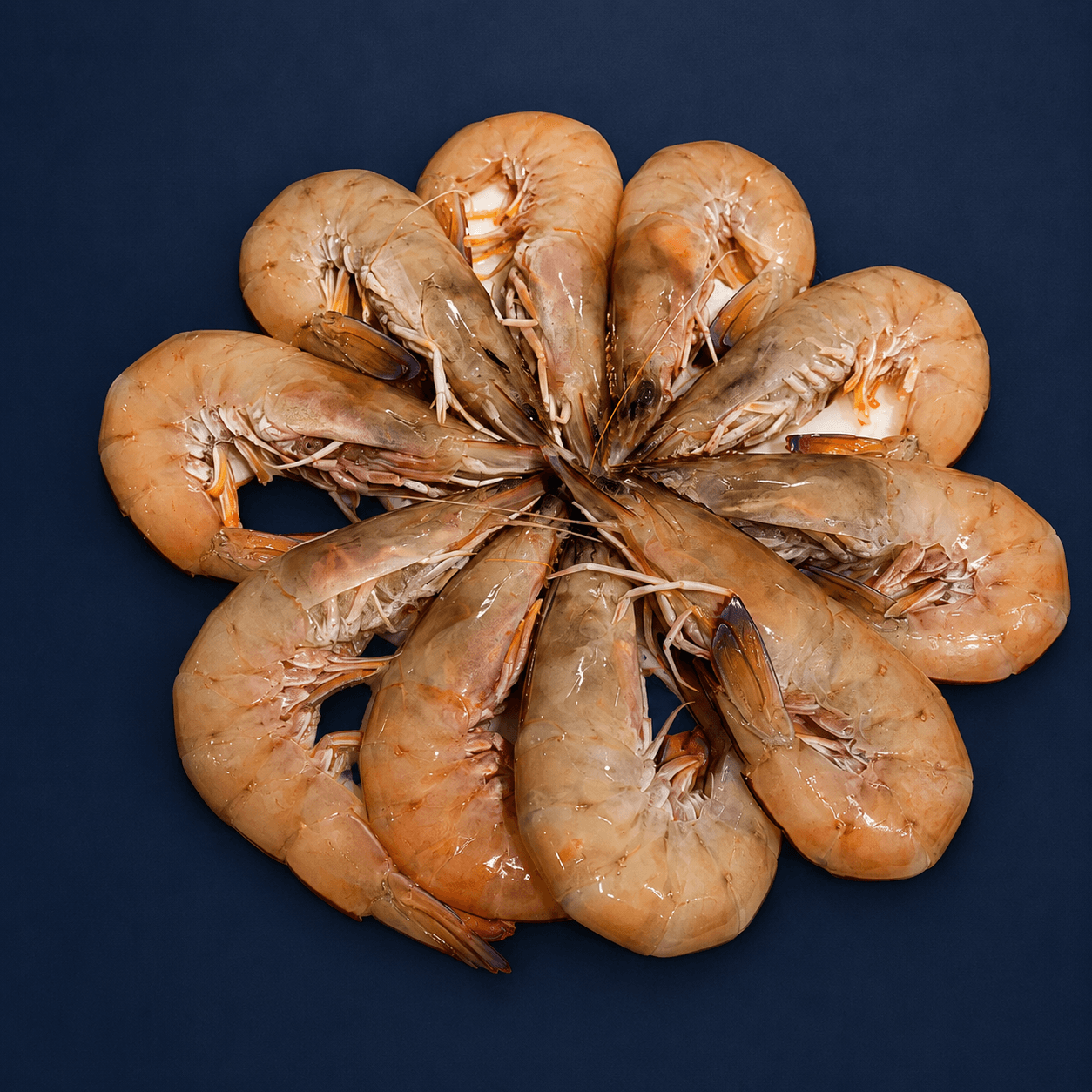 Large Red Spot King Prawn Raw — fresh Prawns (Raw) from Tasman Star Seafood, Gold Coast