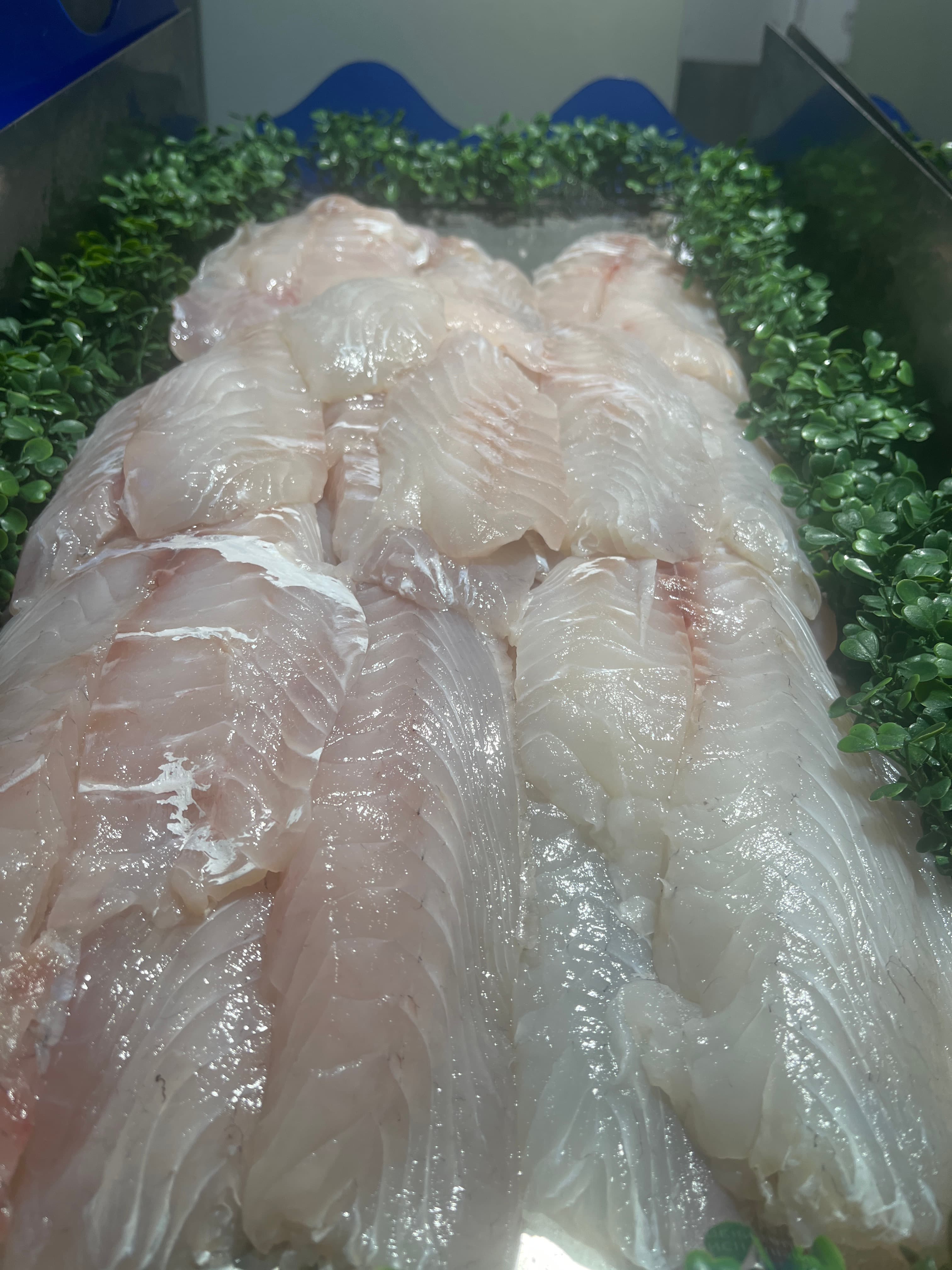 How Long Does Fresh Fish Last in the Fridge?