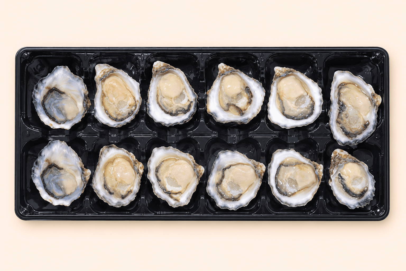 Sydney Rock Oysters(2 trays), Oysters at Tasman Star Seafood, Gold Coast