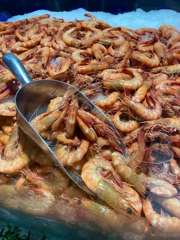 Large Cooked King Prawns, fresh Prawns (Cooked) from Tasman Star Seafood, Gold Coast