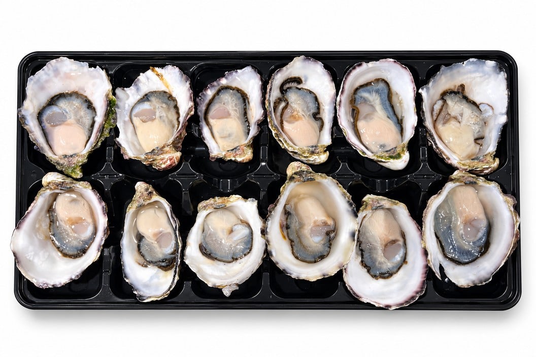 Sydney Rock Oysters, fresh Oysters from Tasman Star Seafood, Gold Coast
