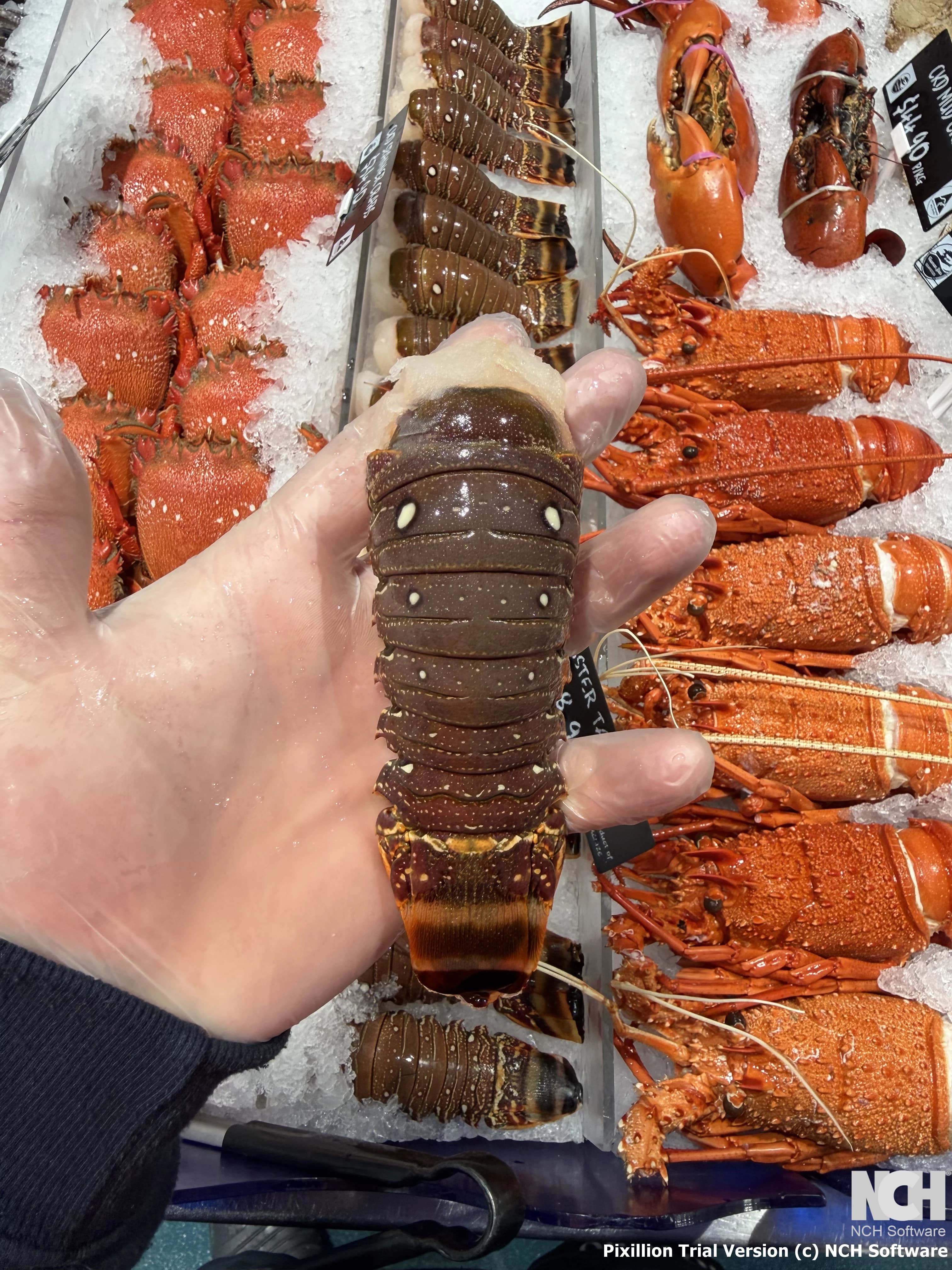 Lobster Tails