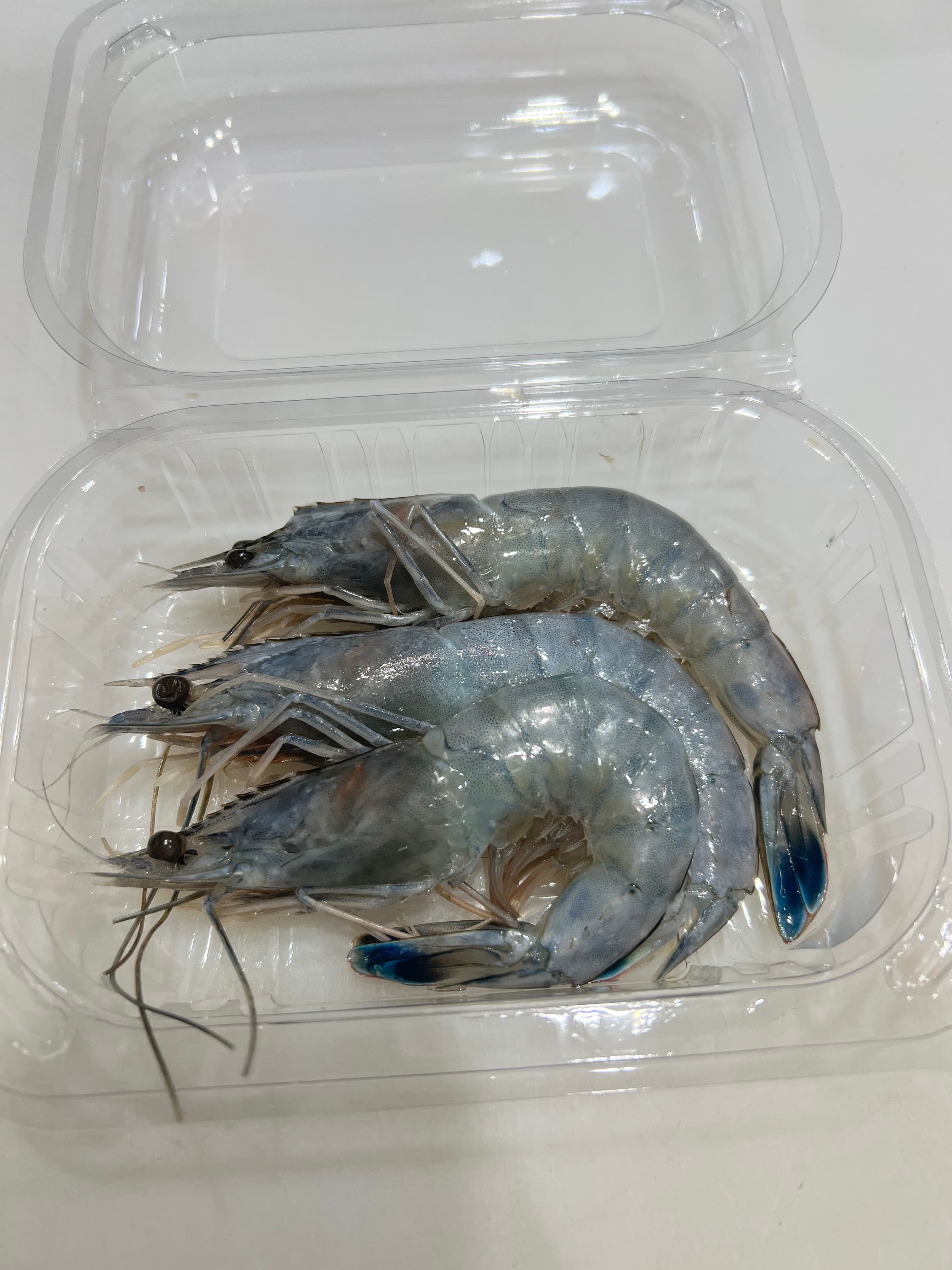 Paradise Prawn