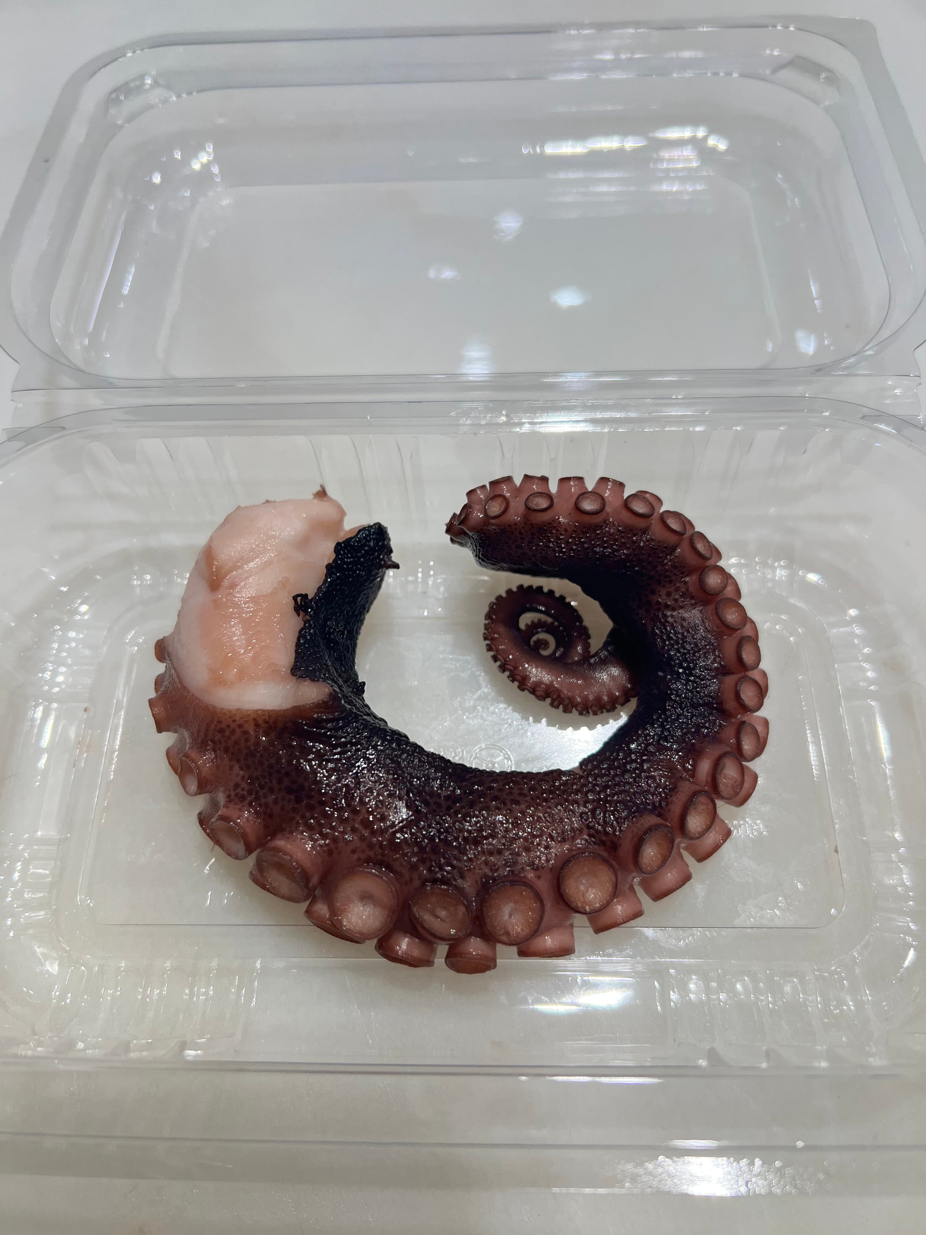 Sashimi Scallops from Hokkaido
